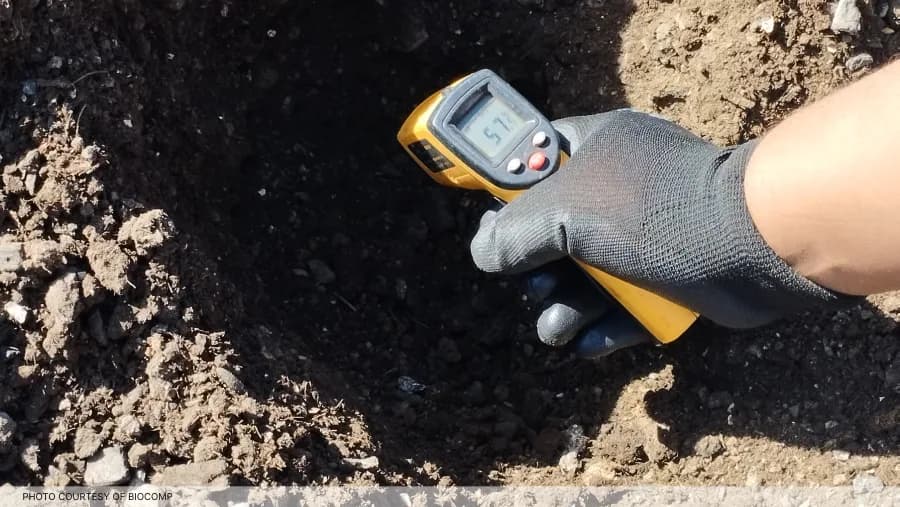 A Biocomp operator measuring compost-windrow temperature