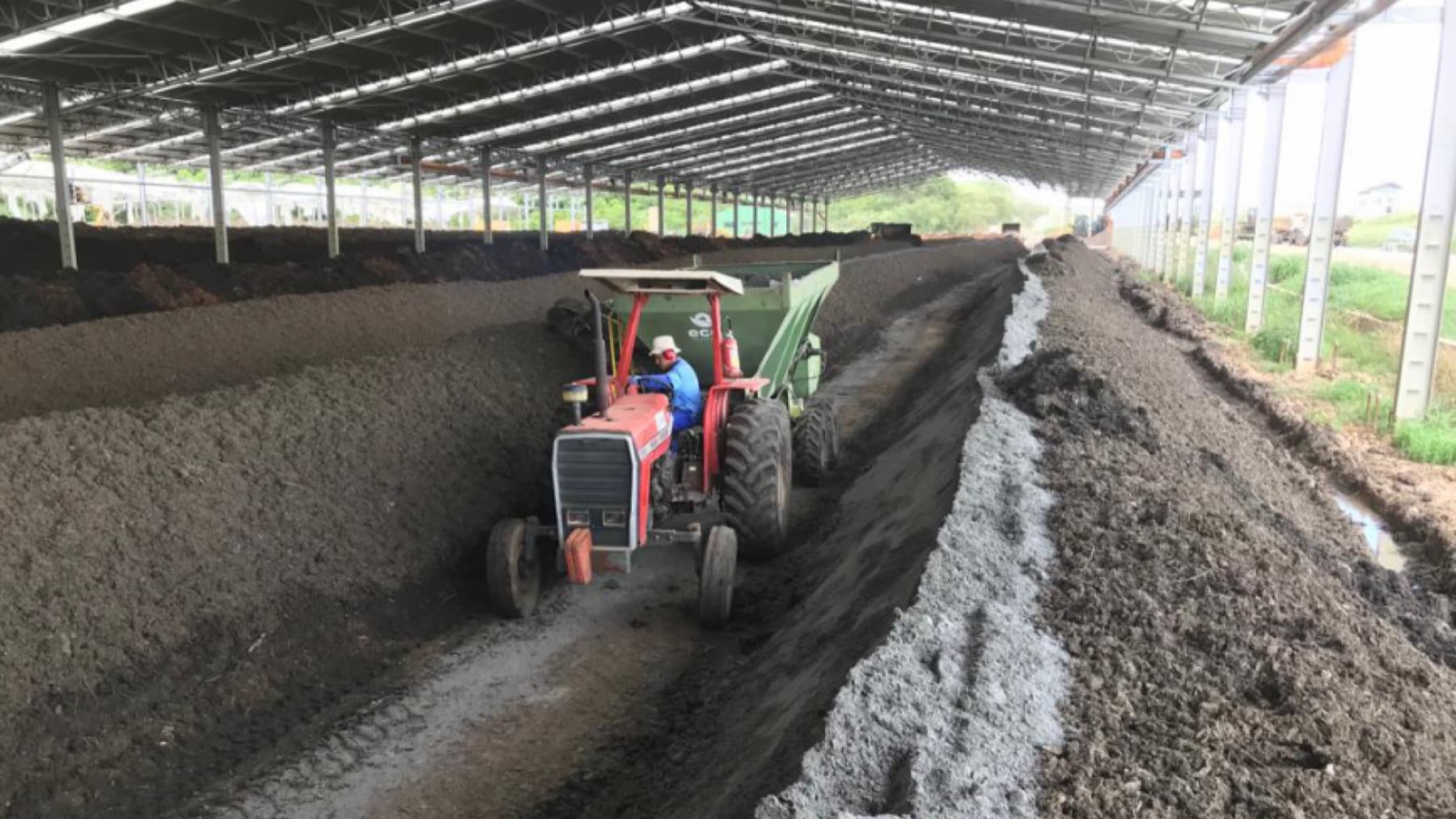 A tractor working the compost windrows at Tera Ambiental