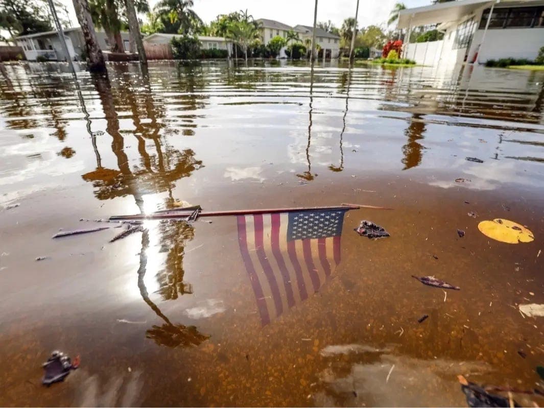 🌿 Takeaways from Climate Week NY 2024