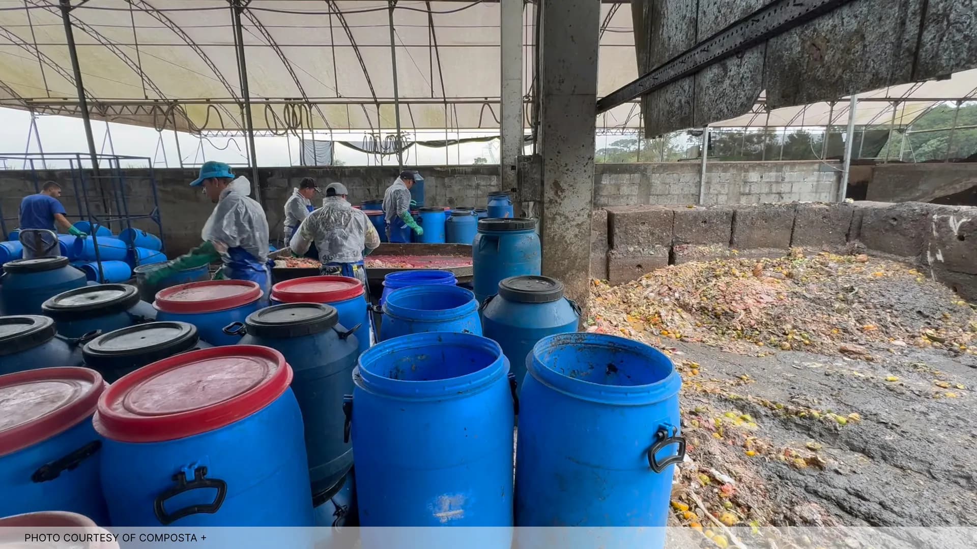 Composta+ workers handling separately collected food waste in blue drums at an organics recycling facility.