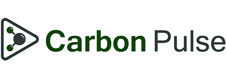 Carbon Pulse