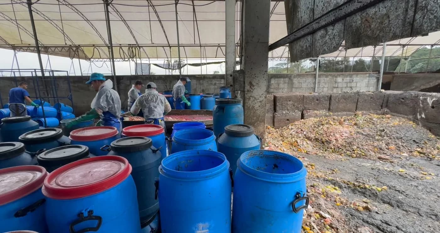 Workers sorting food waste on a conveyor line at a composting operation.