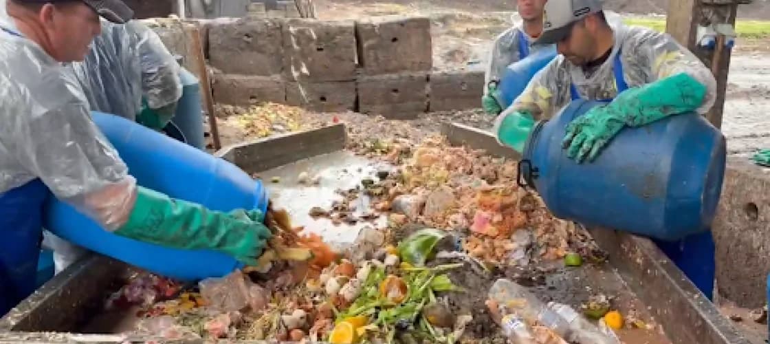 Two workers in aprons and long green gloves tip blue barrels of food waste onto a sorting table at a composting site.